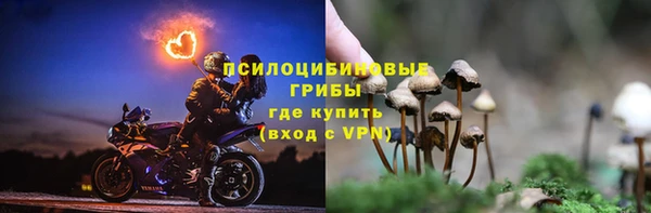 a pvp Володарск