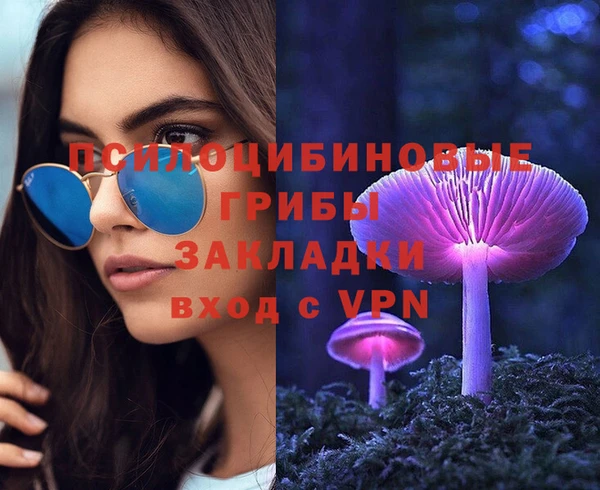 a pvp Володарск