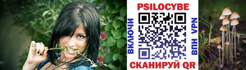 blacksprut зеркало  Нальчик  Галлюциногенные грибы прущие грибы  что такое наркотик 